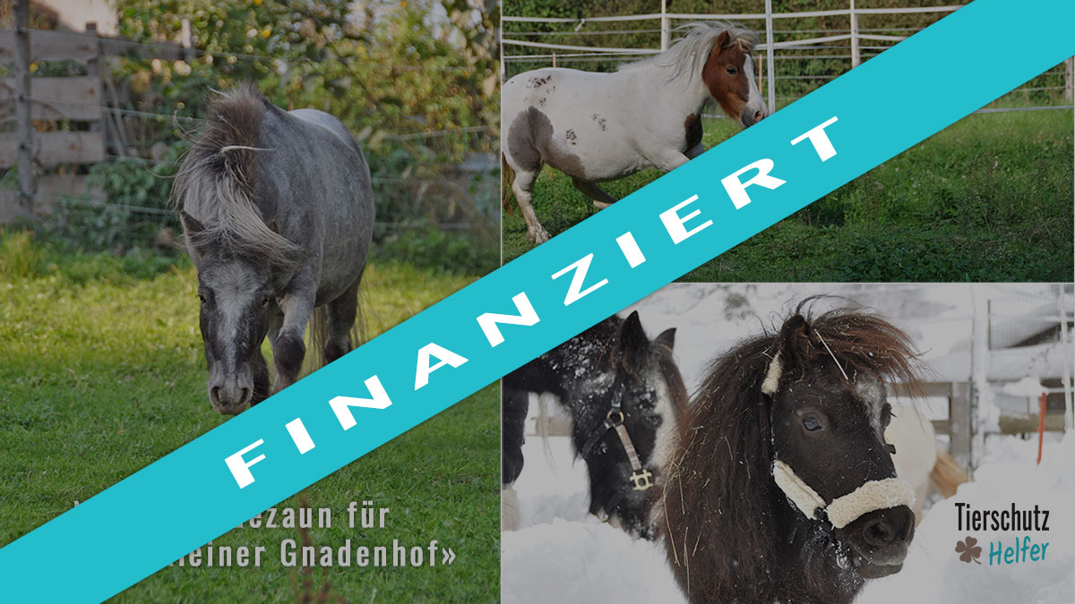 Crowdfunding Tierschutz